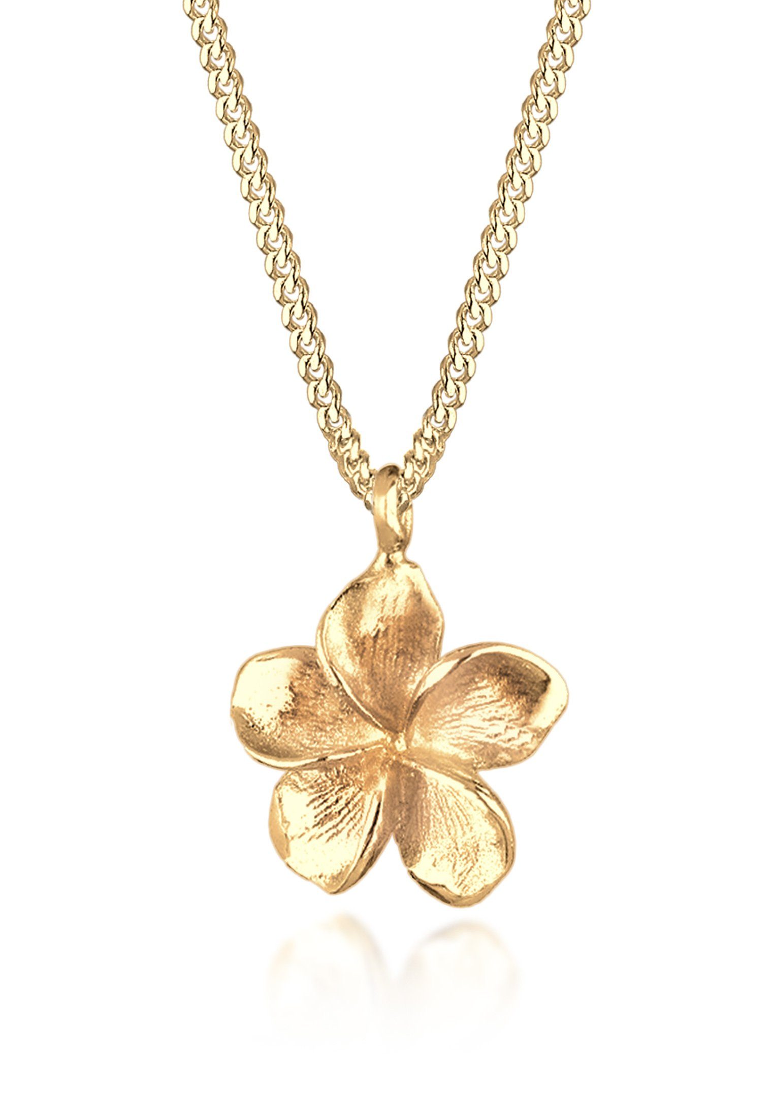 Elli Kette mit Anhänger Frangipani Blüte 925 Silber, Frangipani Blüte günstig online kaufen