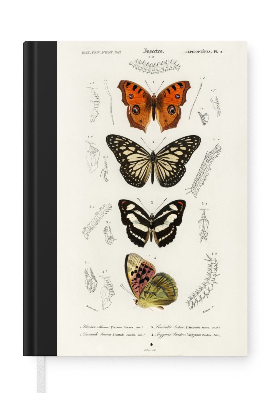 MuchoWow Notizbuch Schmetterling - Vintage - Insekten, Journal, Merkzettel, Tagebuch, Notizheft, A5, 98 Seiten, Haushaltsbuch