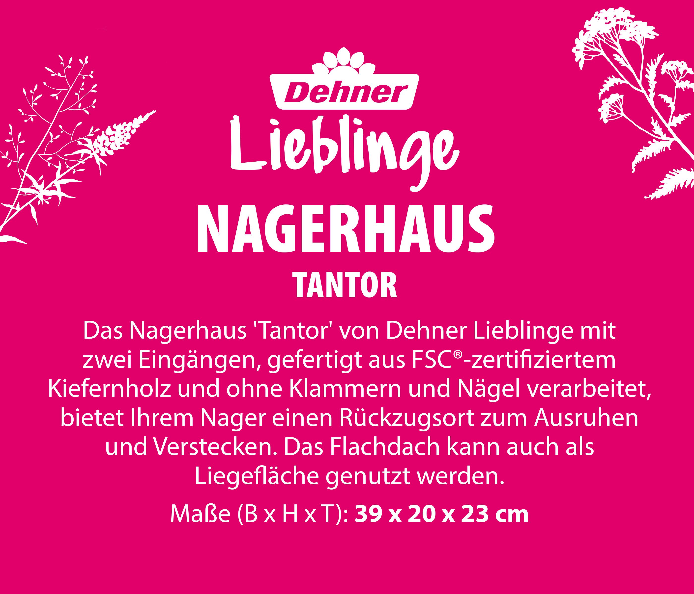Thumbnail - Dehner Nagerhaus Nagerhaus Tantor, ca. 39 x 23 x 20 cm, Kiefernholz, Sicherer, natürlicher Rückzugsort für Kleintiere, m...