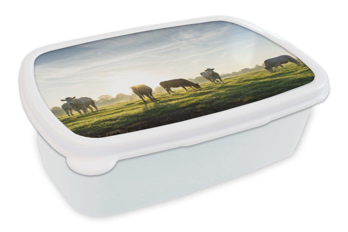 Kühe für Brotbox weiß für Lunchbox und Kunststoff, Erwachsene, (2-tlg), - Sonne Mädchen und Jungs MuchoWow - Gras, Kinder Brotdose,