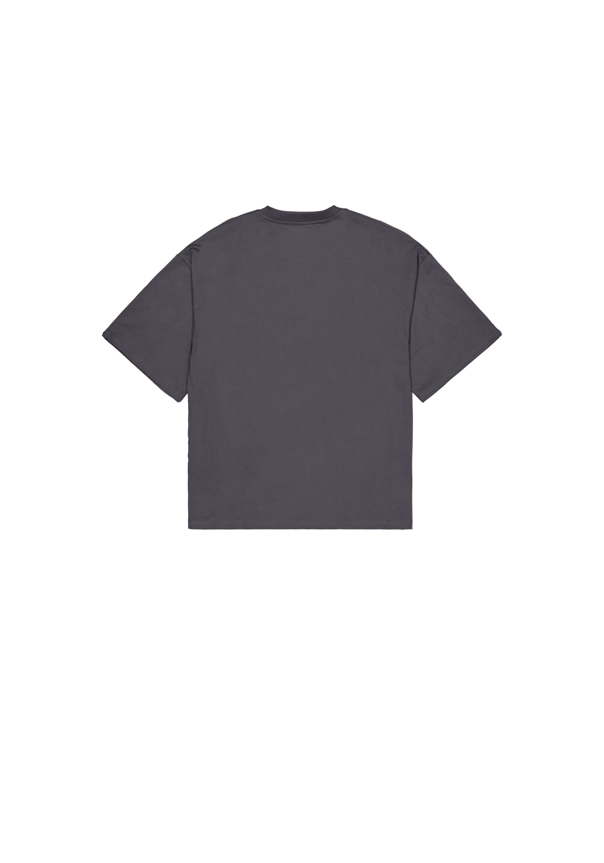 Alpha Industries T-Shirt Flock Logo T-Shirt