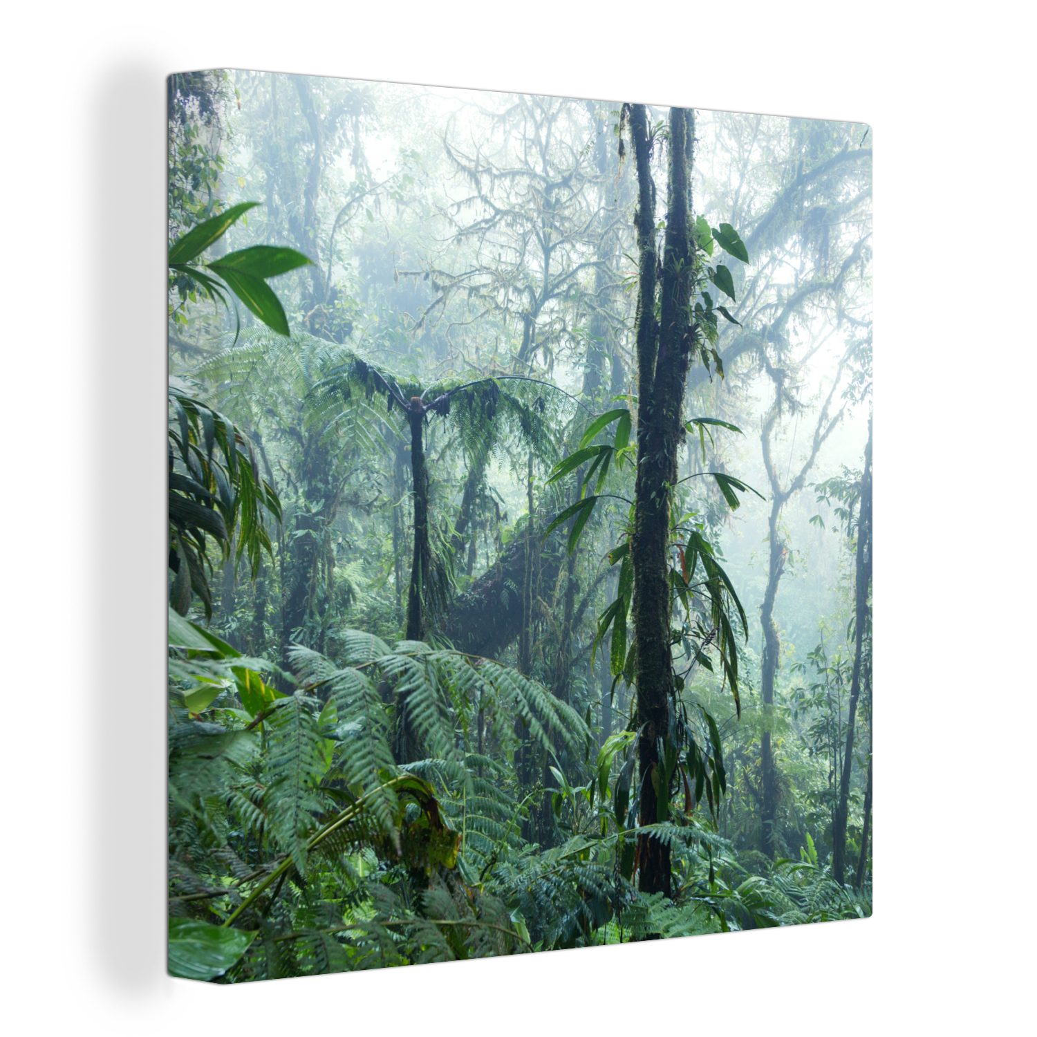 OneMillionCanvasses® Leinwandbild Ein nebliger Regenwald in günstig online kaufen