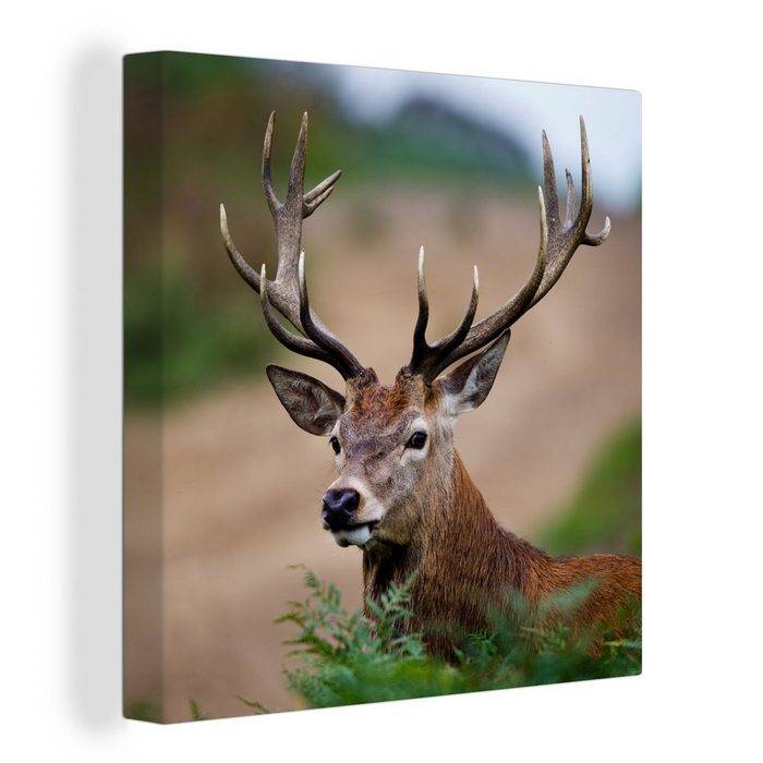 OneMillionCanvasses® Leinwandbild Hirsche - Farne - Natur (1 St) Leinwand Bilder für Wohnzimmer Schlafzimmer