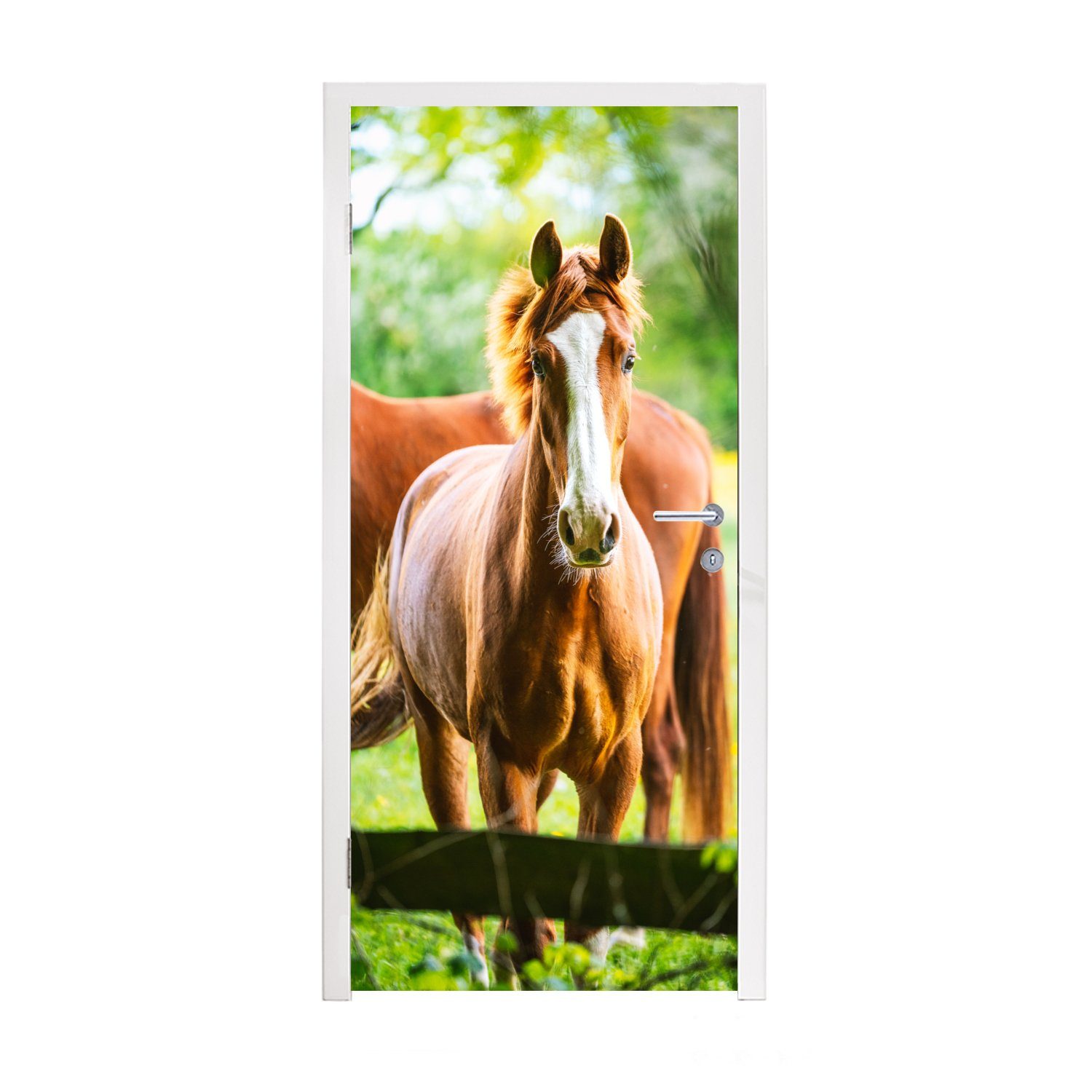 MuchoWow Türtapete Pferde - Licht - Wiese, Matt, bedruckt, (1 St), Fototapete für Tür, Türaufkleber, 75x205 cm
