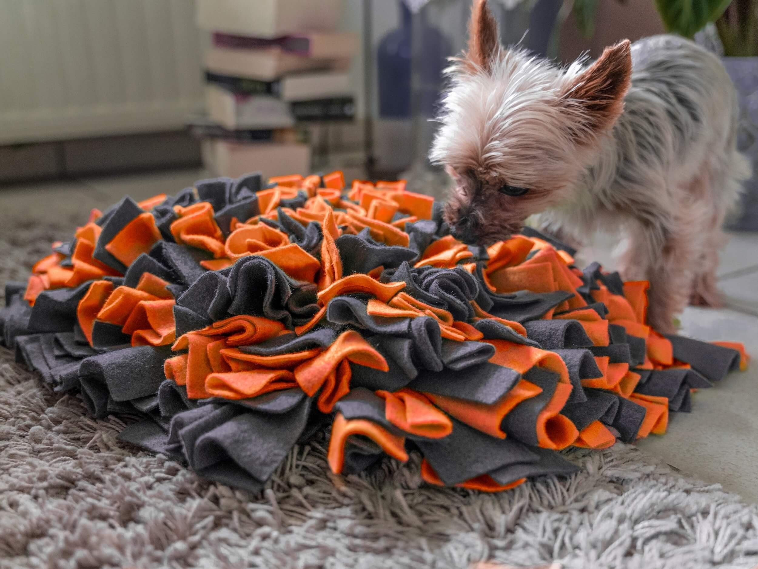 TrendPet Schnüffelteppich, in 2 Farben erhältlich