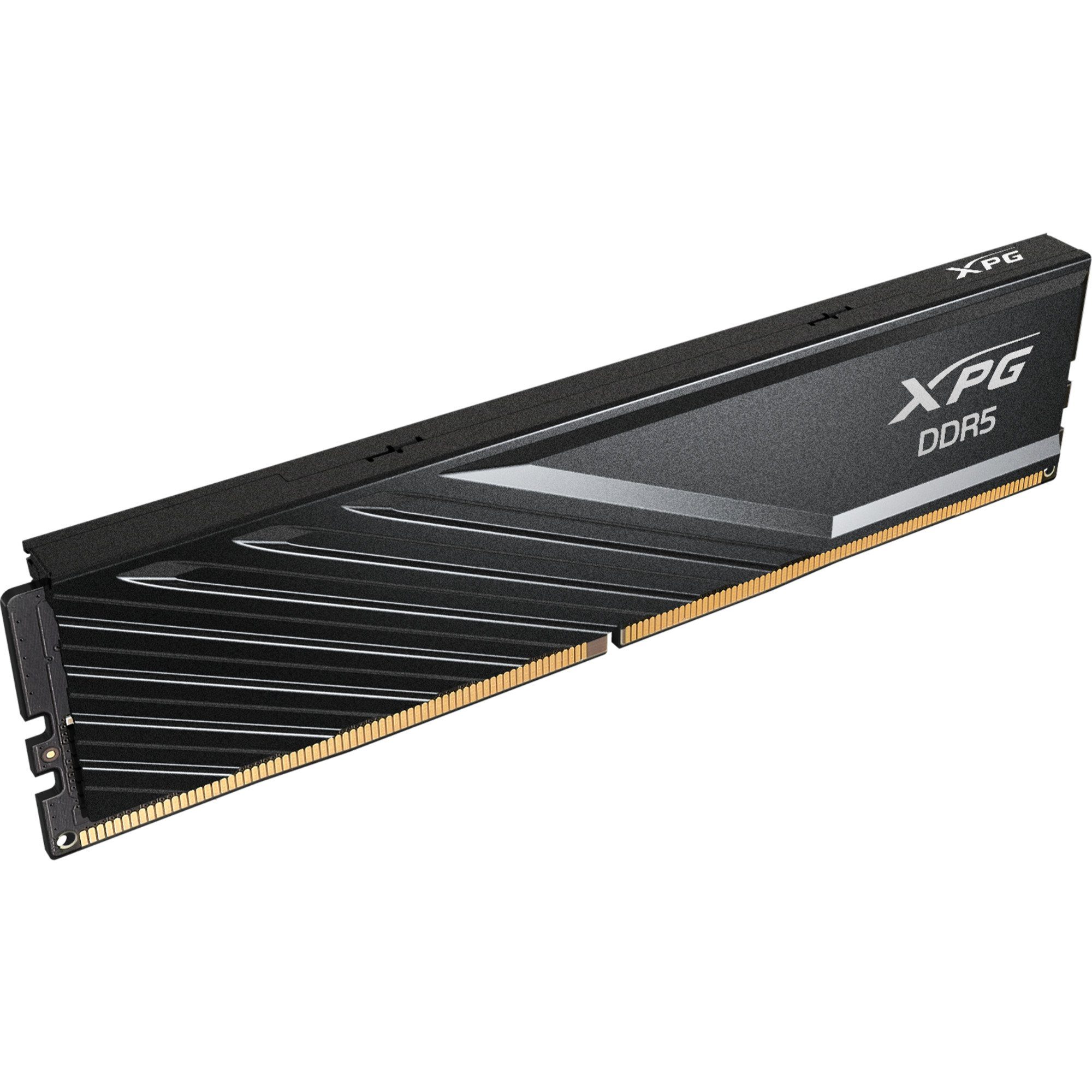 ADATA ADATA DIMM 32 GB DDR5-5600 (2x 16 GB) Dual-Kit, Arbeitsspeicher