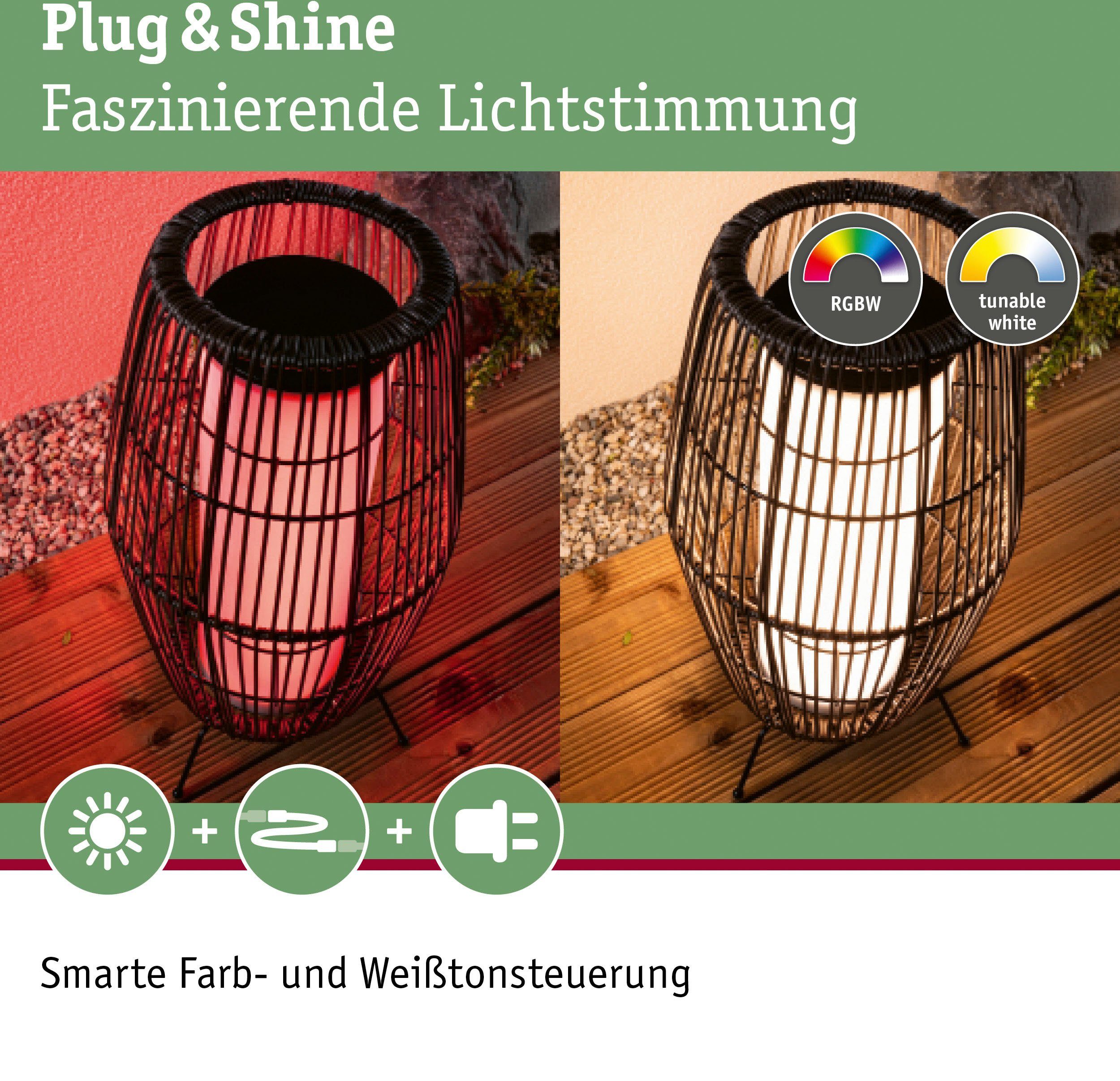 Paulmann LED Gartenleuchte Outdoor Plug ZigBee ZigBee Warmweiß, IP44 LED integriert, fest 40 RGBW Shine Basket IP44, RGBW &