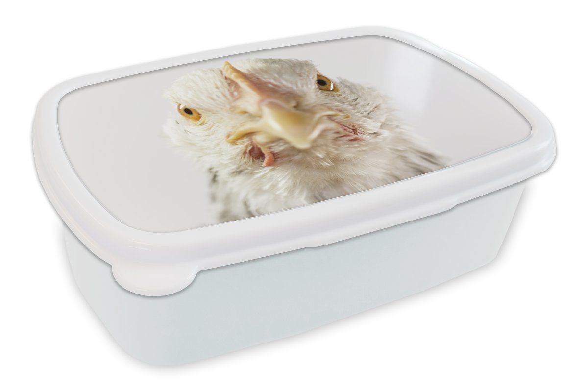 Lunchbox Kinder Brotdose, (2-tlg), für - Huhn MuchoWow und Erwachsene, Brotbox für Kunststoff, Vogel Mädchen weiß Schnabel, Jungs und -