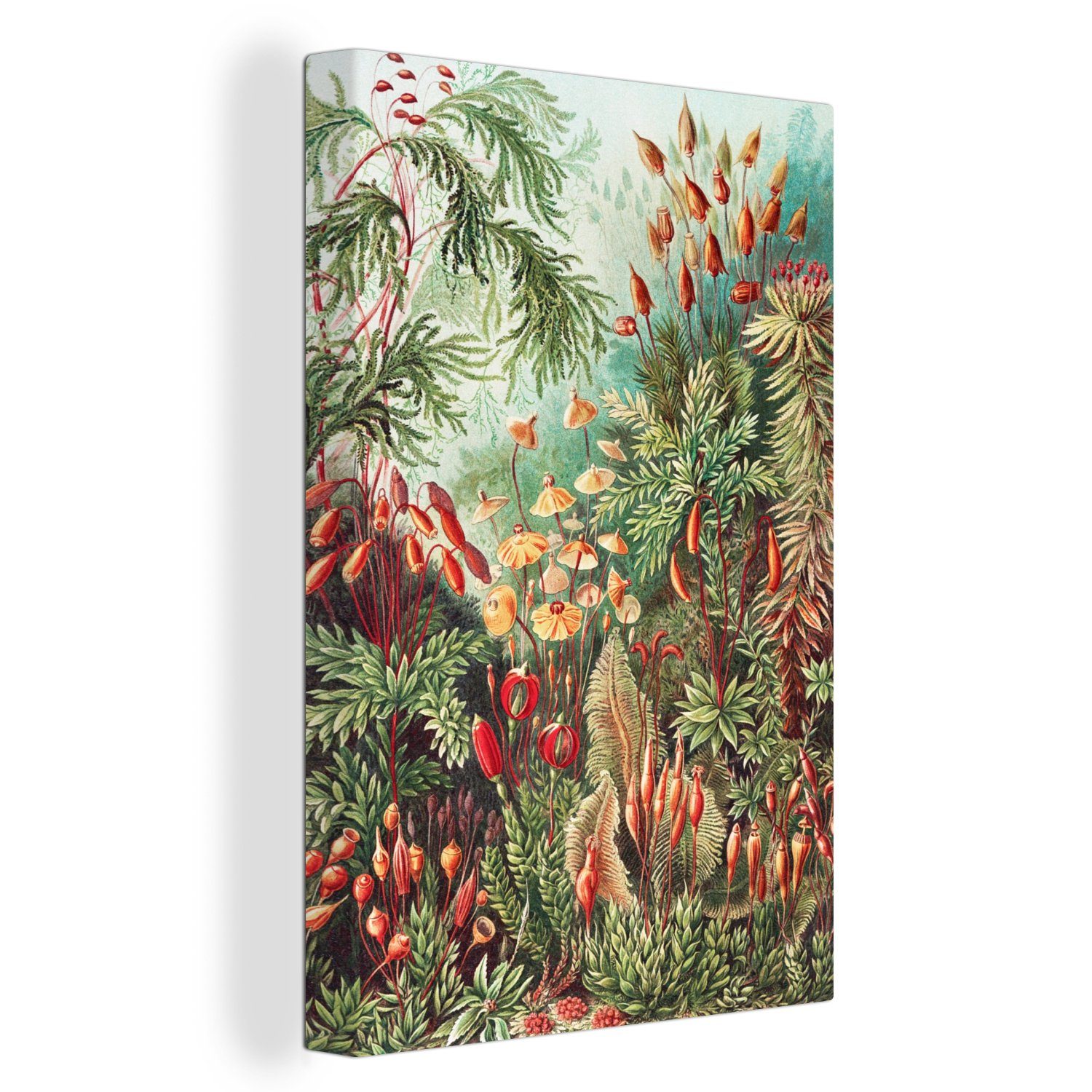 OneMillionCanvasses® Leinwandbild Blumen - - Zackenaufhänger, St), Botanisch, - inkl. cm 20x30 Natur Gemälde, - bespannt Vintage fertig (1 Leinwandbild Kunst