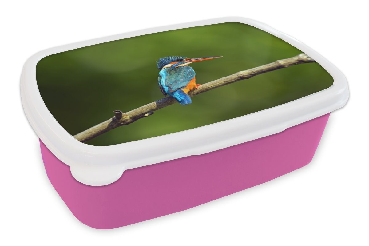 MuchoWow Lunchbox Sri Lanka - Wildtiere - Eisvogel, Kunststoff, (2-tlg), Brotbox für Erwachsene, Brotdose Kinder, Snackbox, Mädchen, Kunststoff rosa
