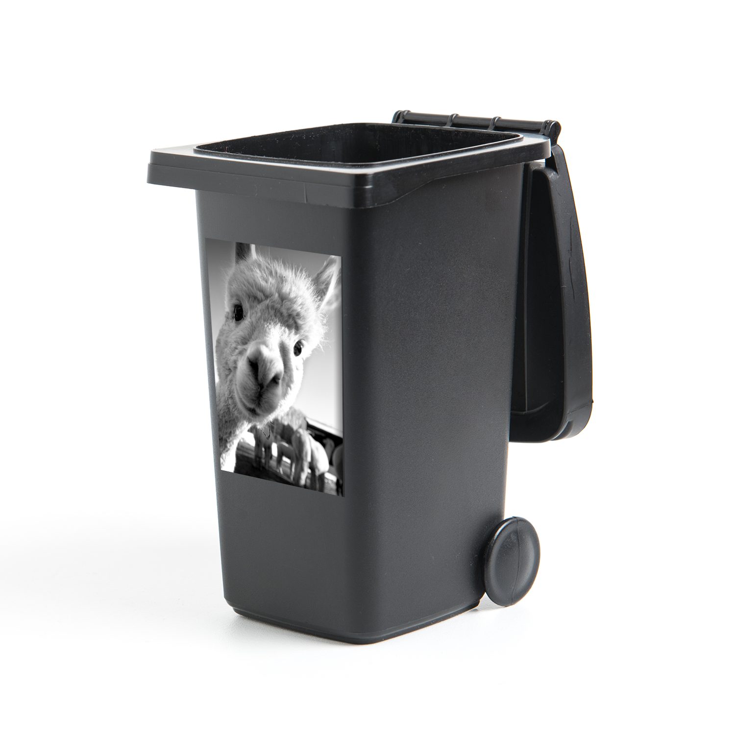 MuchoWow Wandsticker Baby Alpaka schaut in die Kamera - schwarz und weiß (1 St), Mülleimer-aufkleber, Mülltonne, Sticker, Container, Abfalbehälter