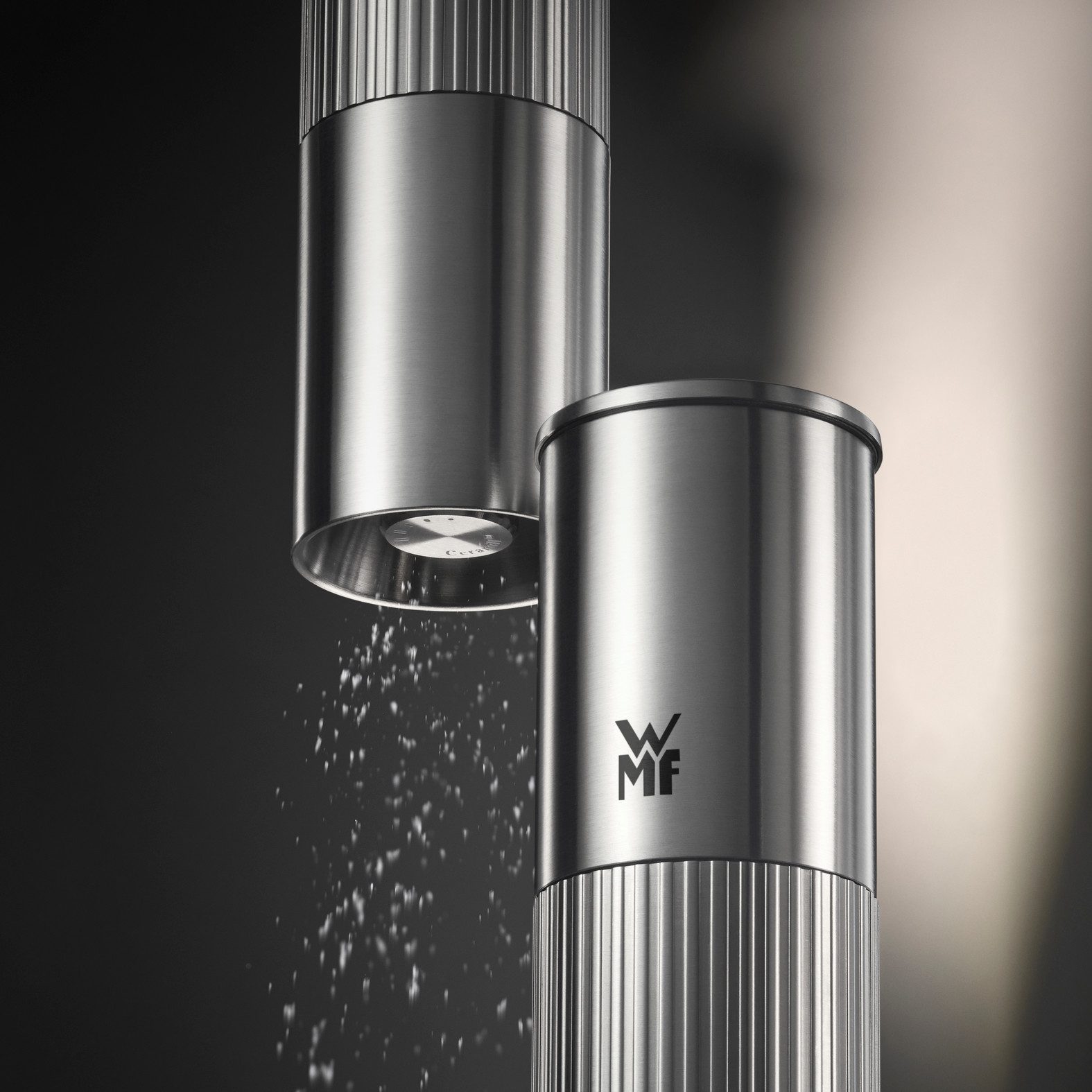 WMF Gewürzmühle Signature Pro, aus Edelstahl manuell, (1 Stück), Keramikmahlwerk, einstellbarer Mahlgrad, magnetischer Deckel