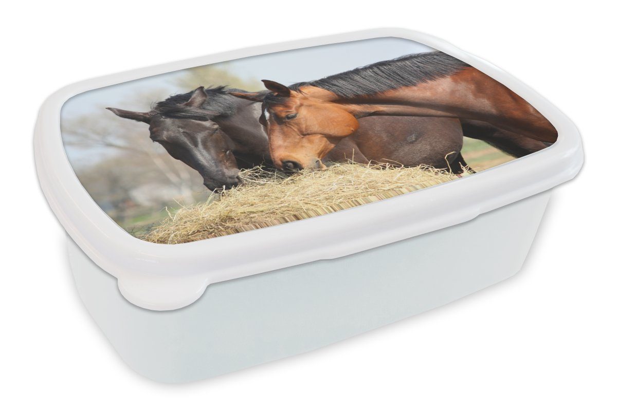 MuchoWow Lunchbox Pferde - Heu - Tiere, Kunststoff, (2-tlg), Brotbox für Kinder und Erwachsene, Brotdose, für Jungs und Mädchen weiß