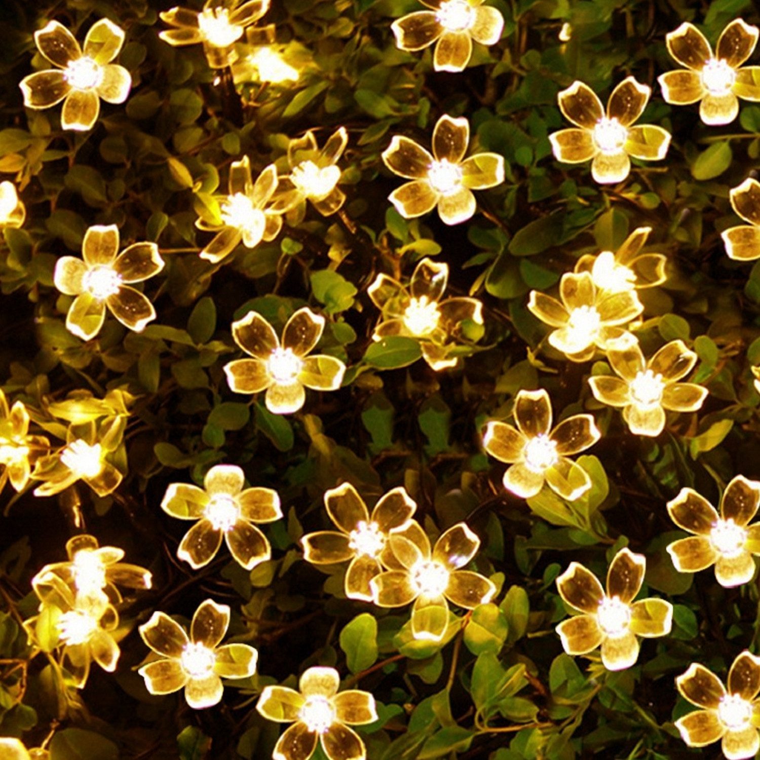 Salcar LED Solarleuchte 5m Solar-Lichterkette mit 20 Kirschblüten Außen Solar Gartenleuchte, 2-Leuchtmodi, Warmweiß