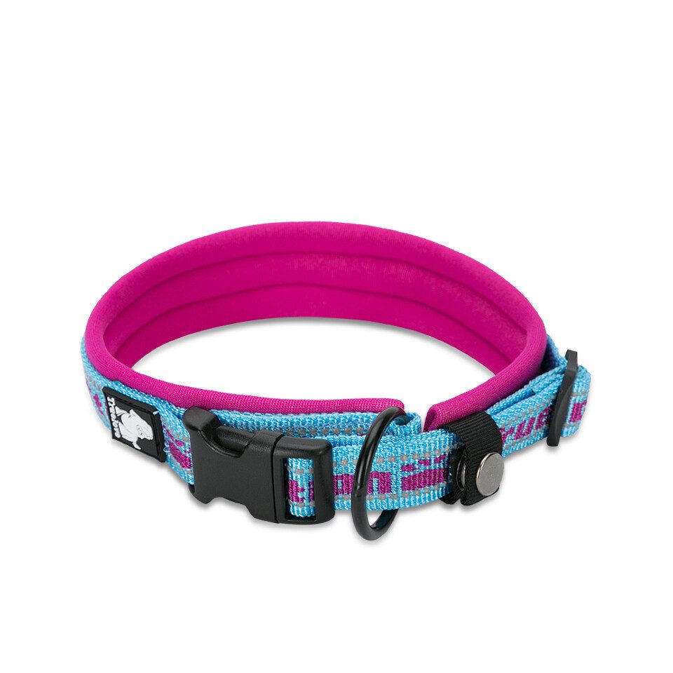 Truelove Hunde-Halsband Nylon Halsband mit Neopren unterlegt blau/pink