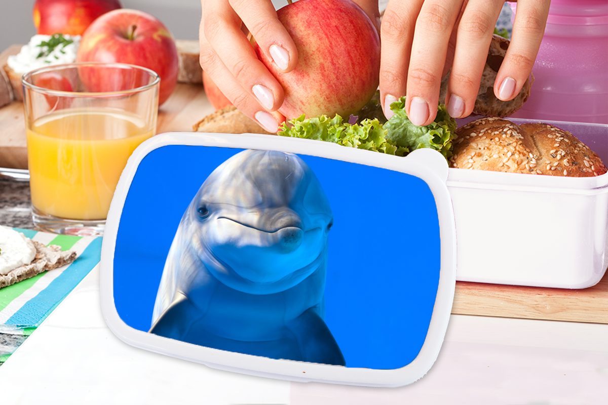 MuchoWow Delfin Mädchen Brotbox Erwachsene, Kunststoff, weiß (2-tlg), und einem Jungs und in für Brotdose, Aquarium, Kinder für Lunchbox