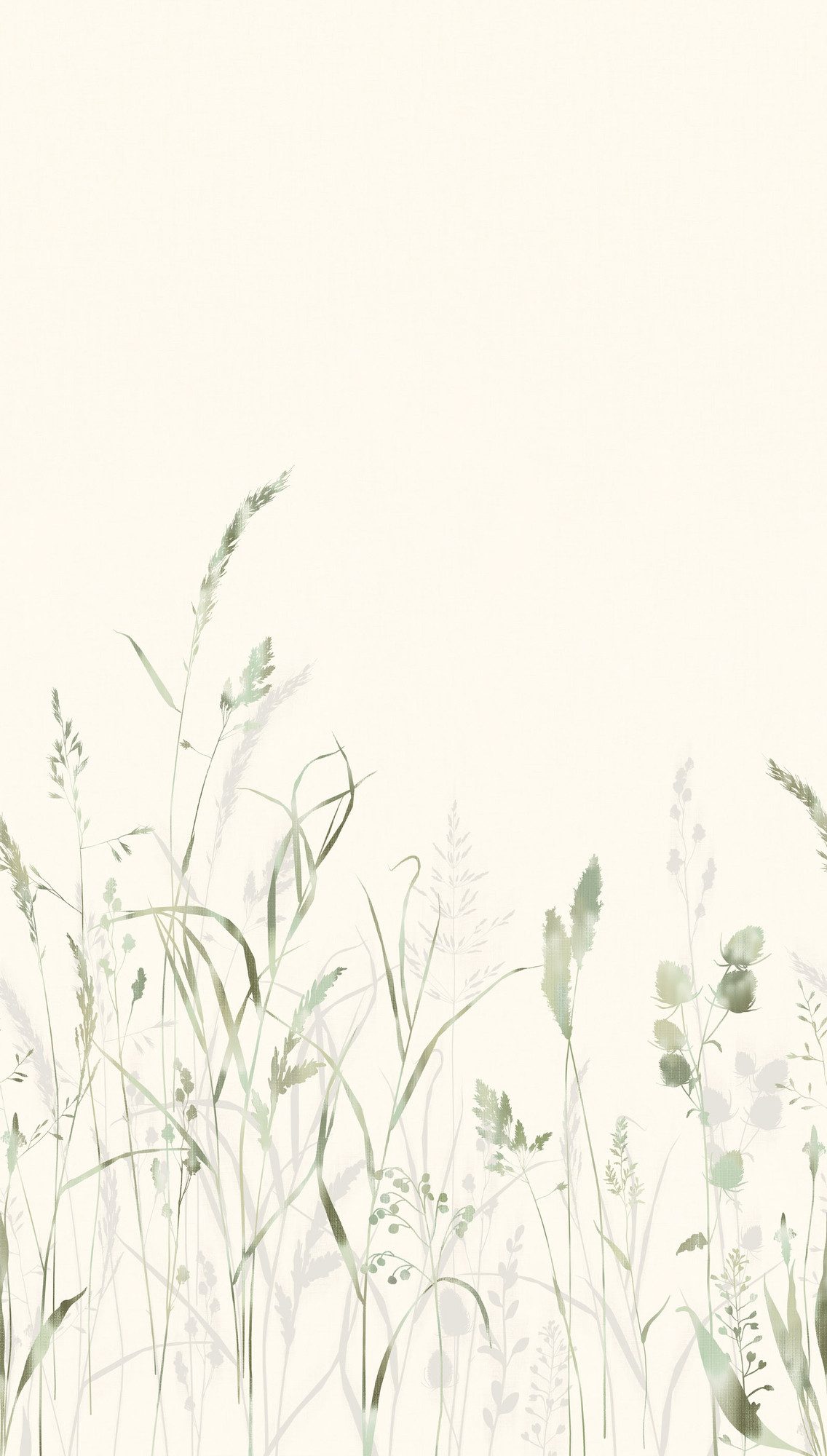 living walls Fototapete The Wall 4 Botanic – Filigrane Gräserwiese Vlies-Fototapete, leicht strukturiert, matt, naturalistisch, Motiv, (1 St), Filigrane Gräserwiese mit dekorativer Tiefenwirkung