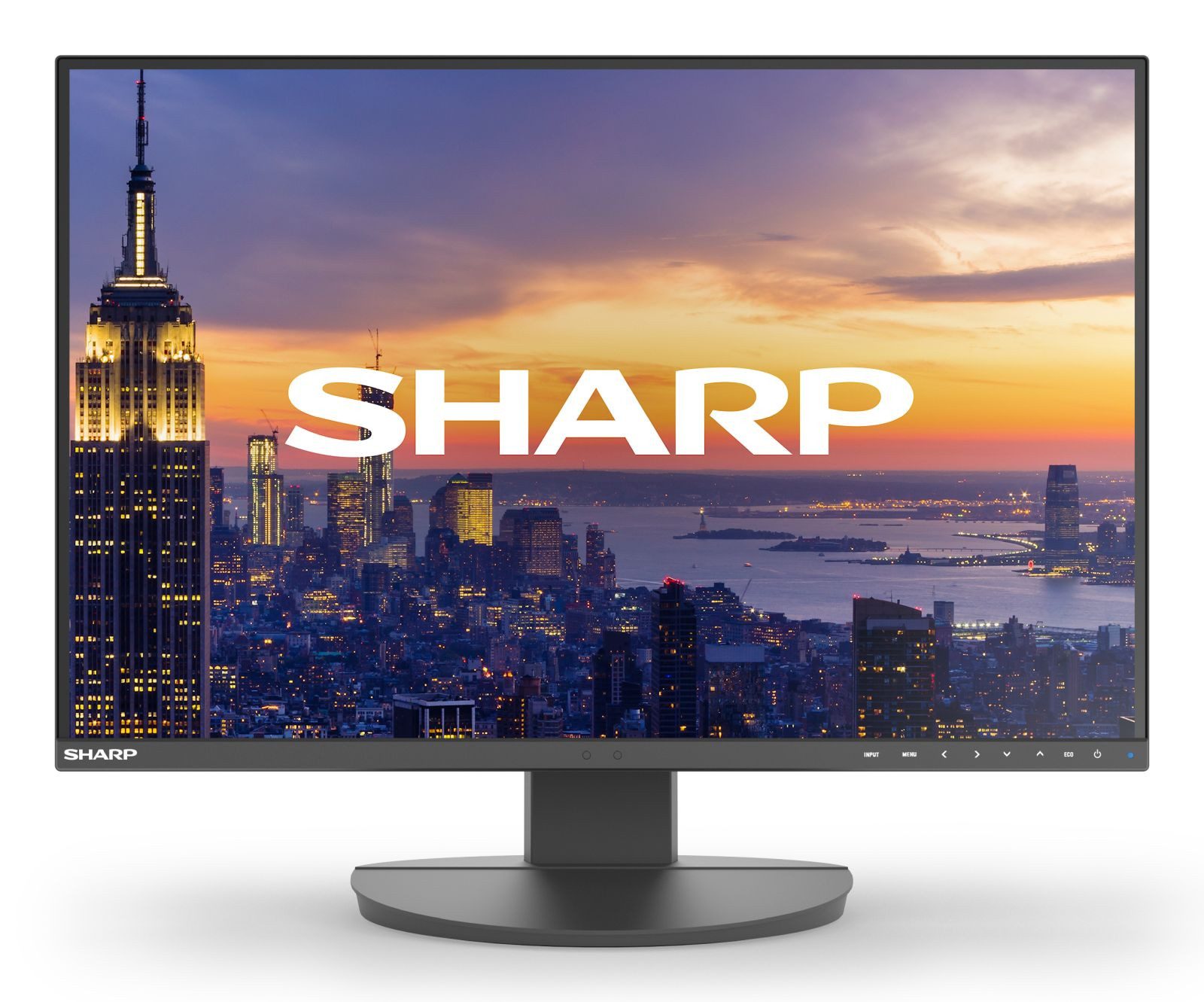 Sharp DD-EA242W BLACK 24IN IPS 1920X1200 16:10 300CD TFT-Monitor (1920 x 1200 px, Full HD, 5 ms Reaktionszeit, 60 Hz, IPS, Lautsprecher, Pivot, Höhenverstellbar)