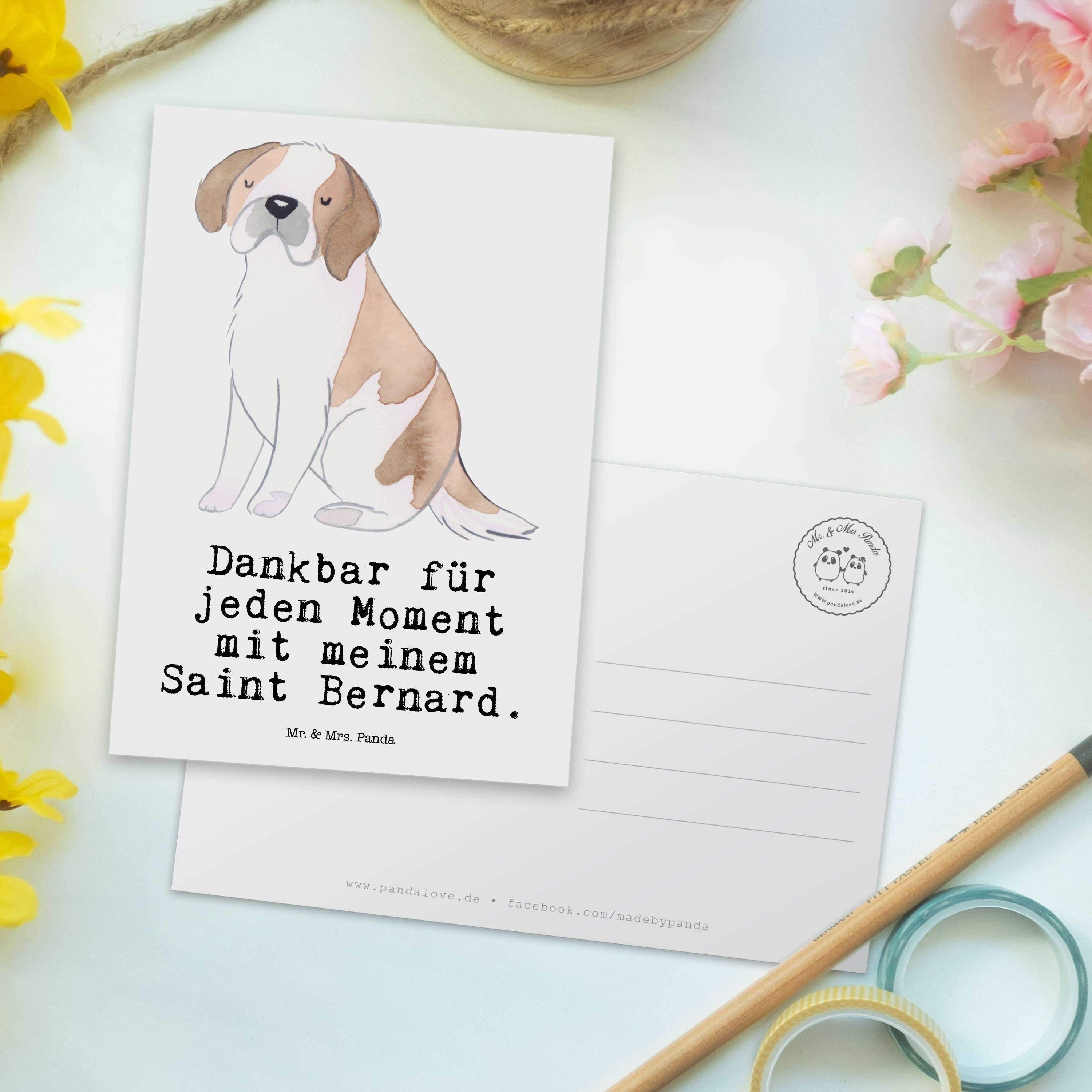 Mr. Saint Mrs. Geschenk, Moment Dankeska - Hund, Geschenkkarte, Weiß Panda - & Postkarte Bernard