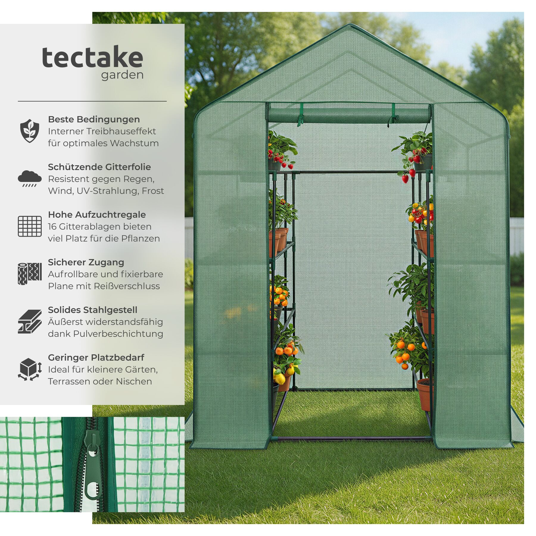 tectake Gewächshaus Foliengewächshaus mit quadratischer Grundfläche, Set, 1 günstig online kaufen