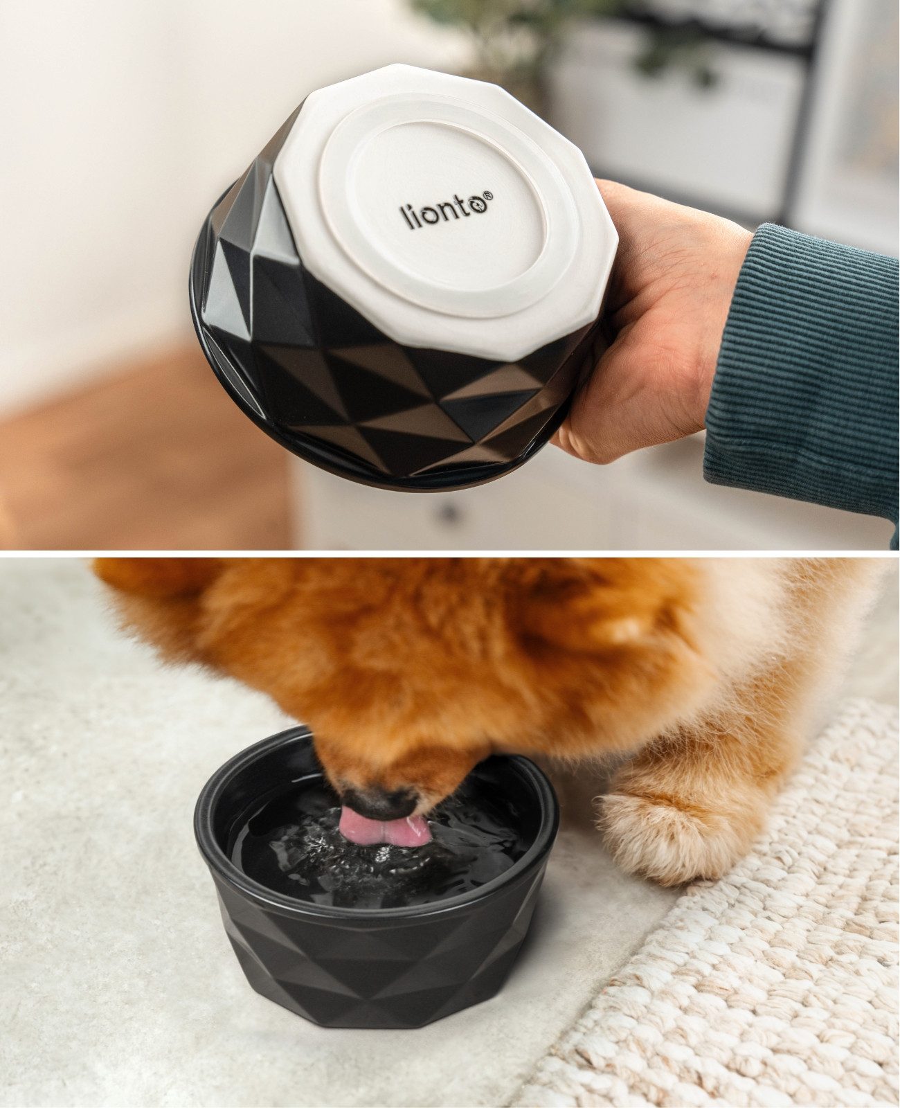 lionto Futternapf für Hunde & Katzen, verschiedene Größen und Farben, Keramik, spülmaschinengeeignet, rutschfest & stilvoll