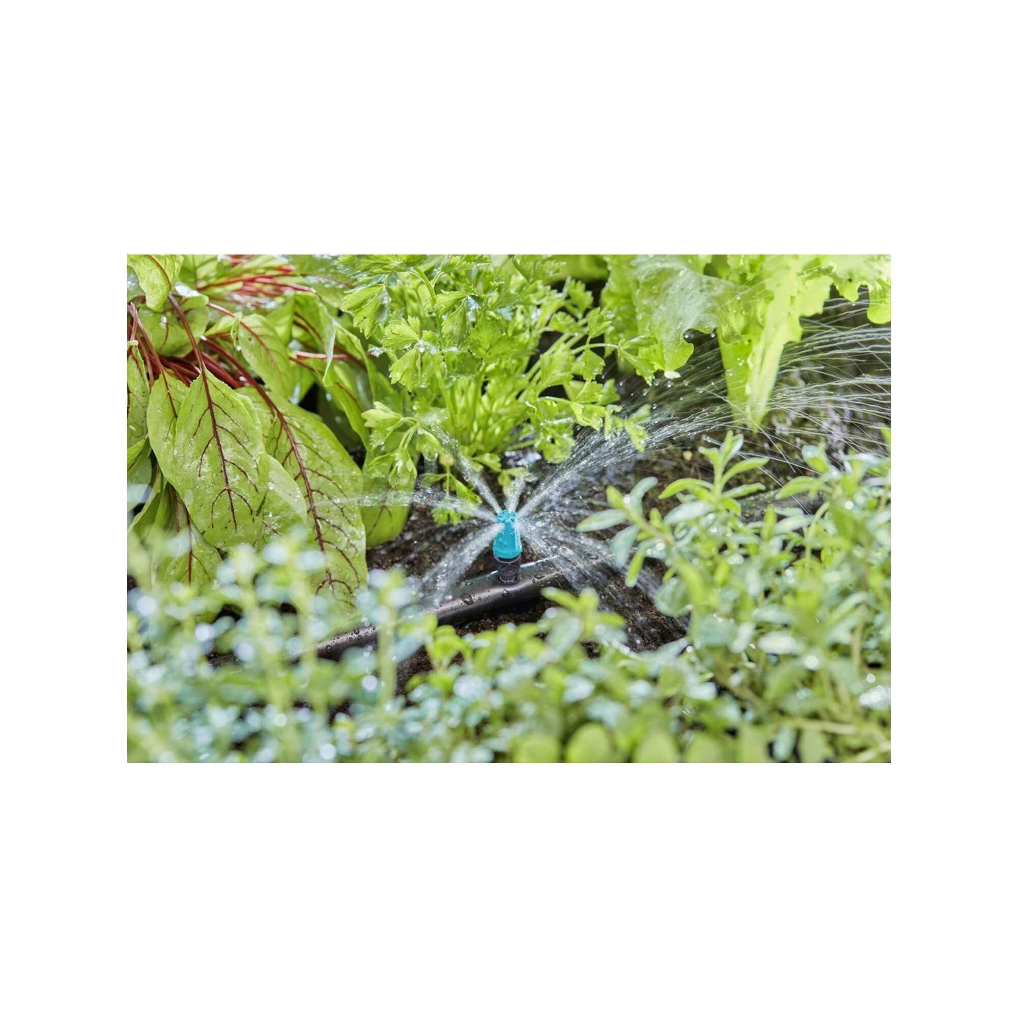 GARDENA Bewässerungssystem Gardena Endkleinflächendüse Inhalt: 10 Stück MDS