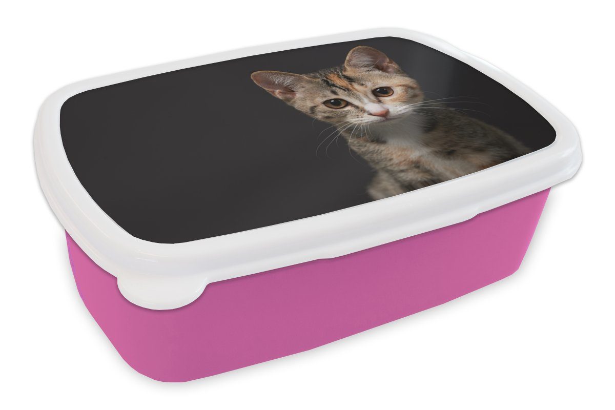 MuchoWow Lunchbox Katze - Schwarz - Porträt, Kunststoff, (2-tlg), Brotbox für Erwachsene, Brotdose Kinder, Snackbox, Mädchen, Kunststoff rosa