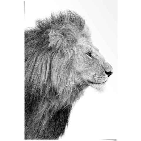 Reinders! Poster Löwe König - Dschungel - Seitenporträt - Kräftig, (1 St)