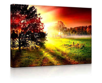 lightbox-multicolor LED-Bild Sonnenuntergang an nebliger Lichtung fully lighted / 60x40cm, Leuchtbild mit Fernbedienung