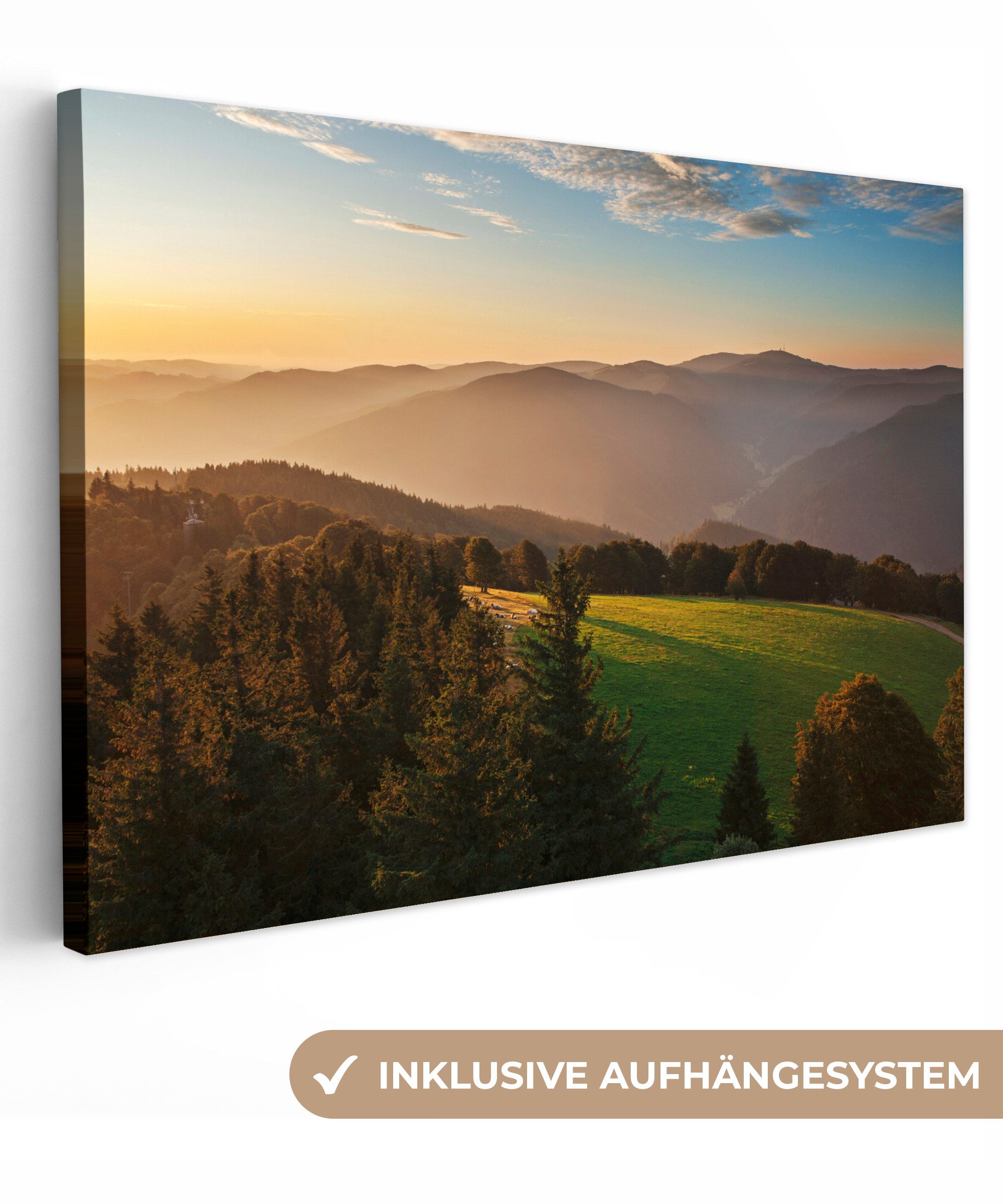 OneMillionCanvasses® Leinwandbild Blick über den dicht günstig online kaufen