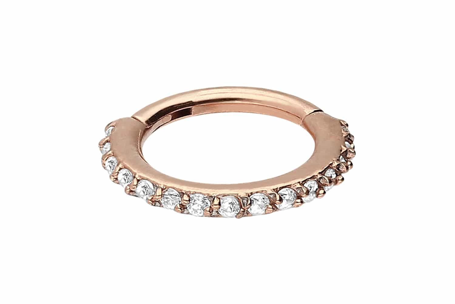 PIERCINGLINE Nasenpiercing Chirurgenstahl Segmentring Clicker EINGEFASSTE K günstig online kaufen