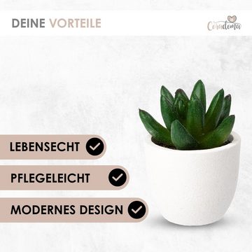 Kunstpflanze Künstliche Pflanzen im Topf Mini Set Dekoration Modern Wohnzimmer Sukkulente, Coradoma
