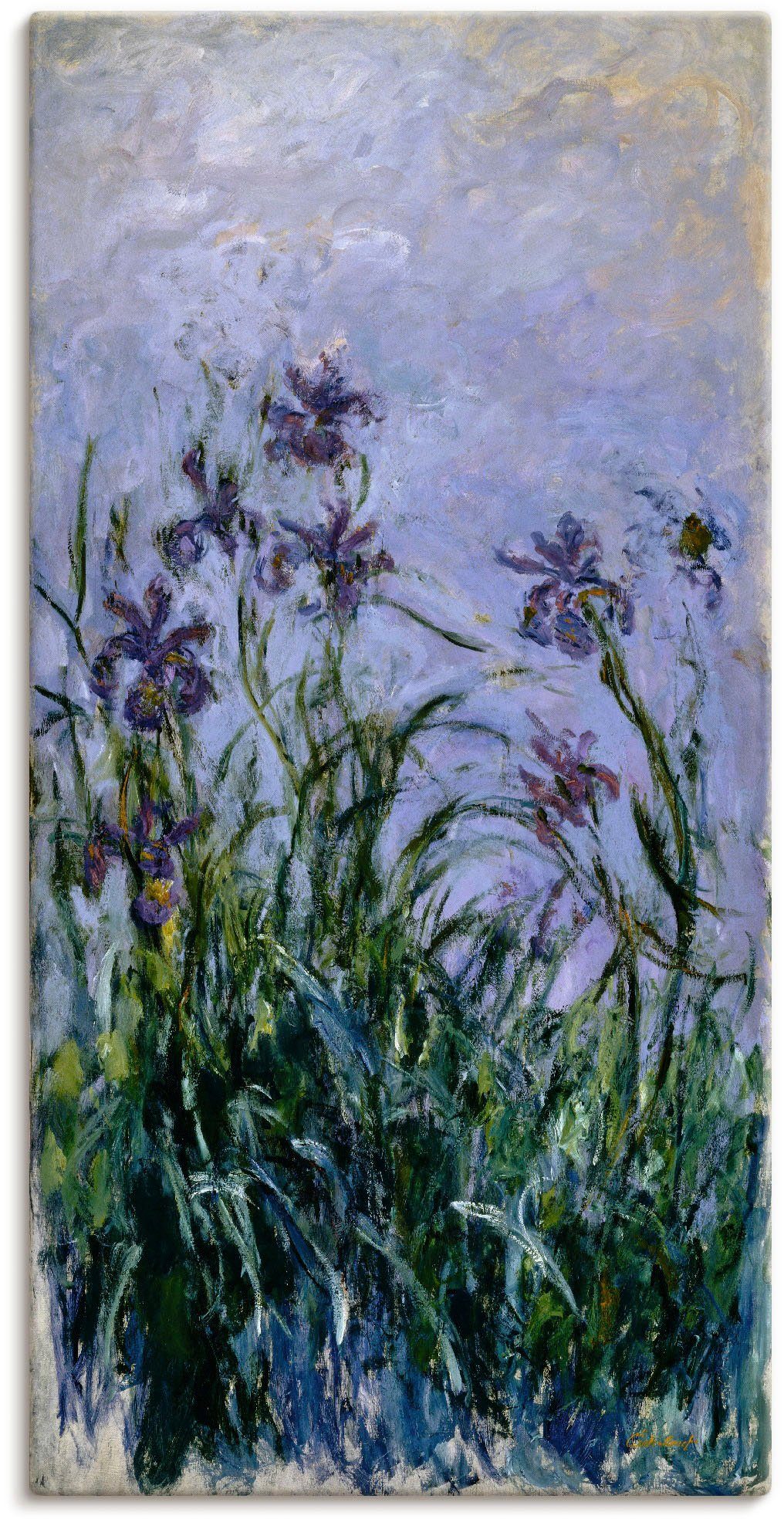 Wandbild in versch. (1 Iris. Blumen als 1914-17, St), Poster Leinwandbild, Artland oder Wandaufkleber Größen