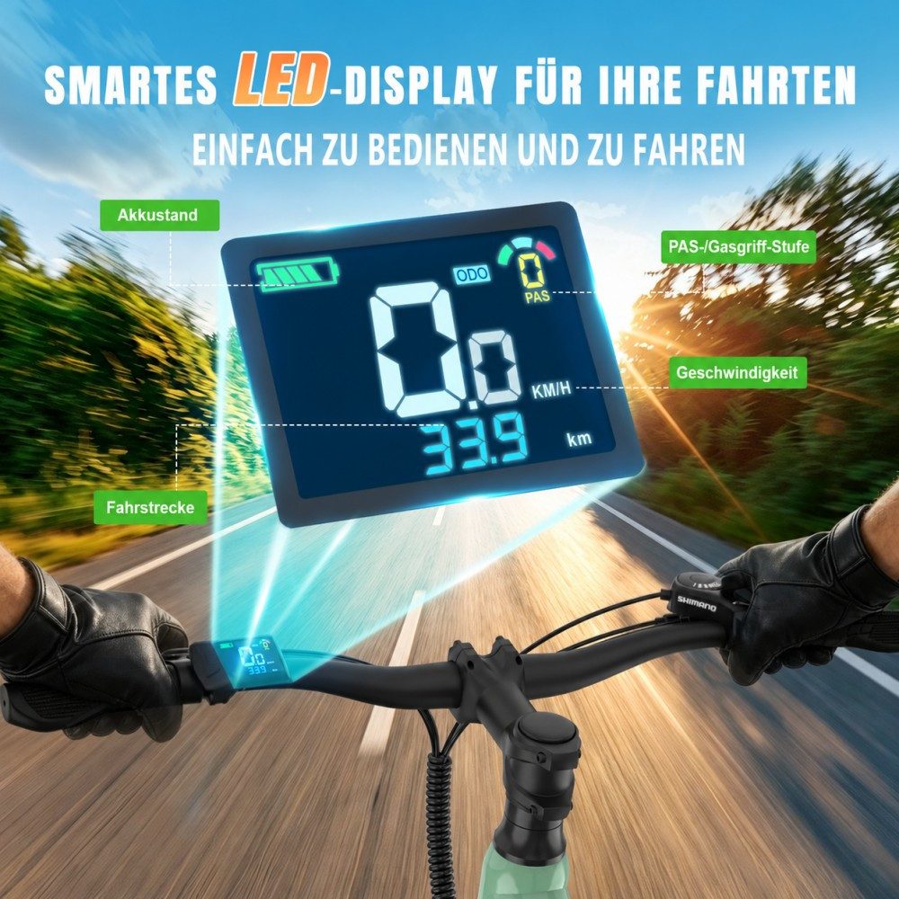 SSY E-Bike Elektrofahrrad fur Erwachsene, Heckmotor, (Komfortables E-Bike für Damen), Rahmen aus Karbonstahl – Bild 5 von 5