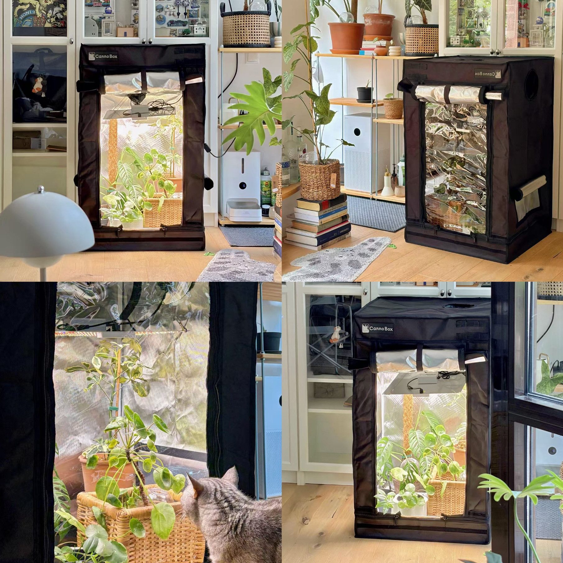 CannoBox Gewächshaus CannoBox Growbox Die zweischichtige Tür Growzelt Growschrank, BxTxH: 60 x 60 x 100 cm, BxTxH:80x80x180cm,1680D,Lichtdichte Tür und Beobachtungstür