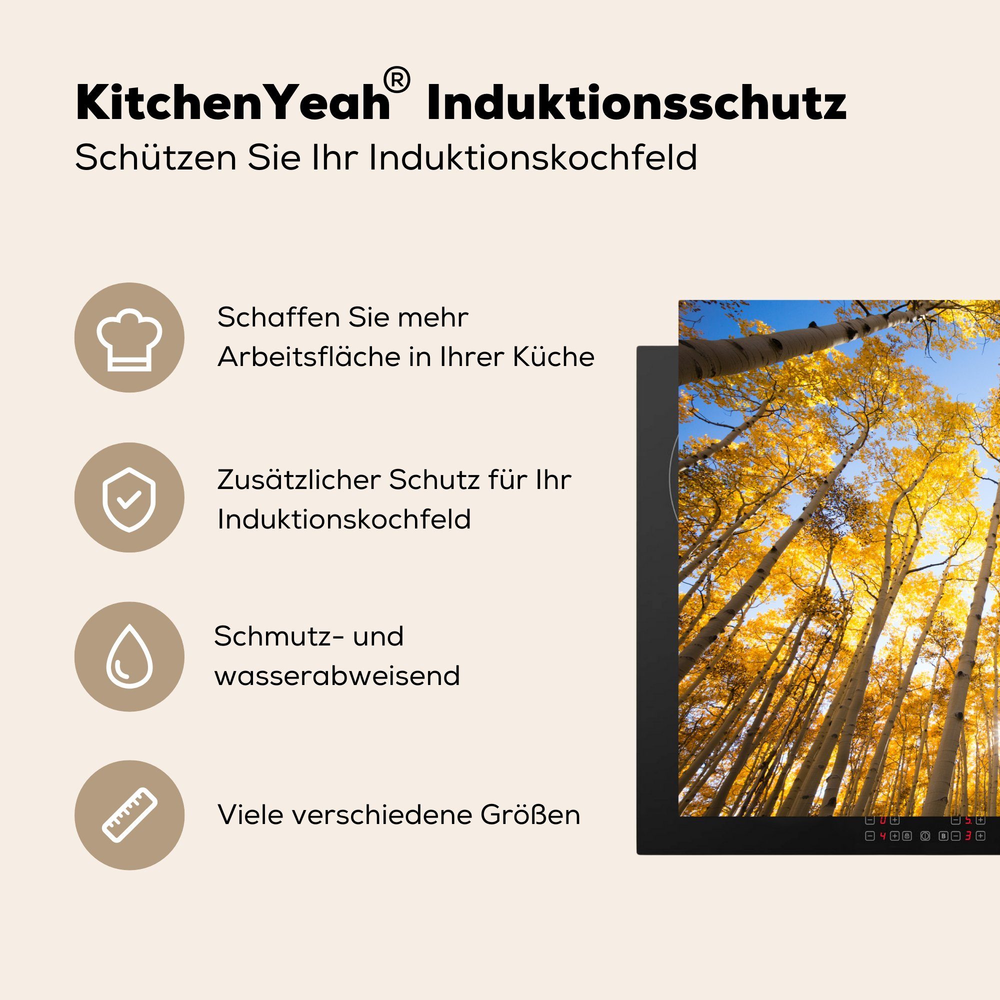 MuchoWow Herdblende-/Abdeckplatte tlg), 81x52 (1 - Vinyl, Wald, Herbst küche, cm, Schutz für Ceranfeldabdeckung die - Bäume Induktionskochfeld