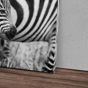 Sinus Art Leinwandbild 120x80cm Wandbild auf Leinwand Kleines Zebra Zebrababy Schwarz Weiß Ti, (1 St)