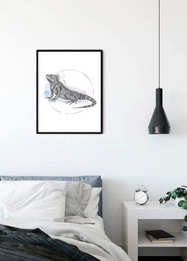 Komar Poster Iguana Watercolor, Tiere (1 St), Kinderzimmer, Schlafzimmer, Wohnzimmer