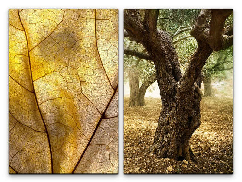 Sinus Art Leinwandbild 2 Bilder je 60x90cm Herbstblatt alter Baum Natur Herbst Heilsam Kraft positive Energie