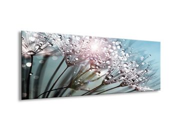 artissimo Glasbild Glasbild 80x30cm Bild aus Glas Pusteblume türkis, Blumen und Blüten: Wassertropfen auf Pustbelume
