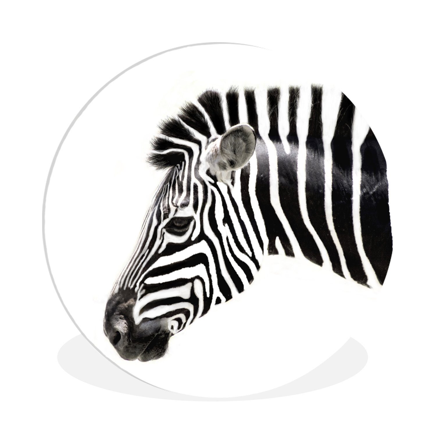 MuchoWow Gemälde Zebra - Tiere - Weiß, (1 St), Kreis Wanddekoration Forex, Rundes Wandbild, Wohnzimmer, 30x30 cm