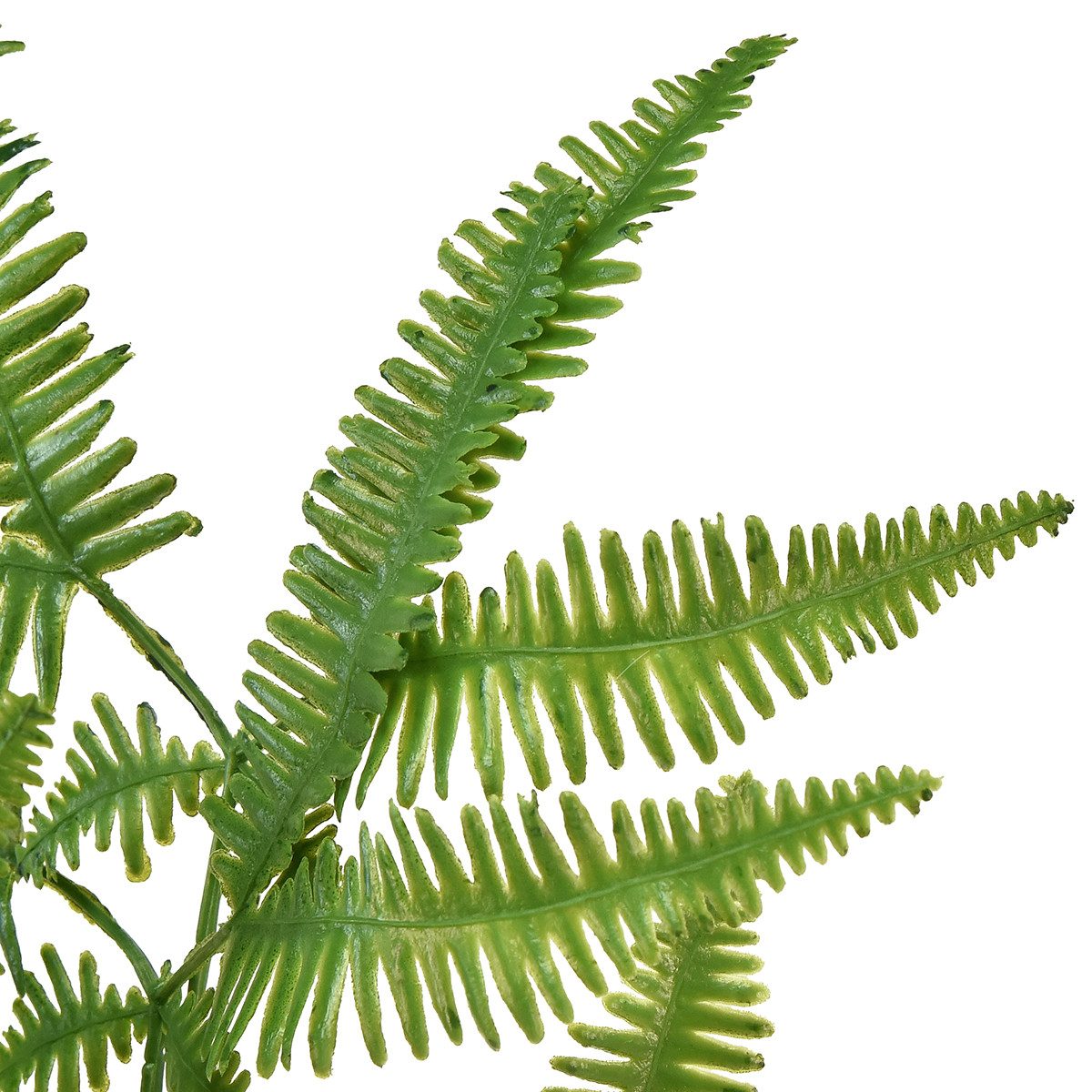 Künstliche Zimmerpflanze Künstlicher Farn 44cm Dekoration günstig online kaufen