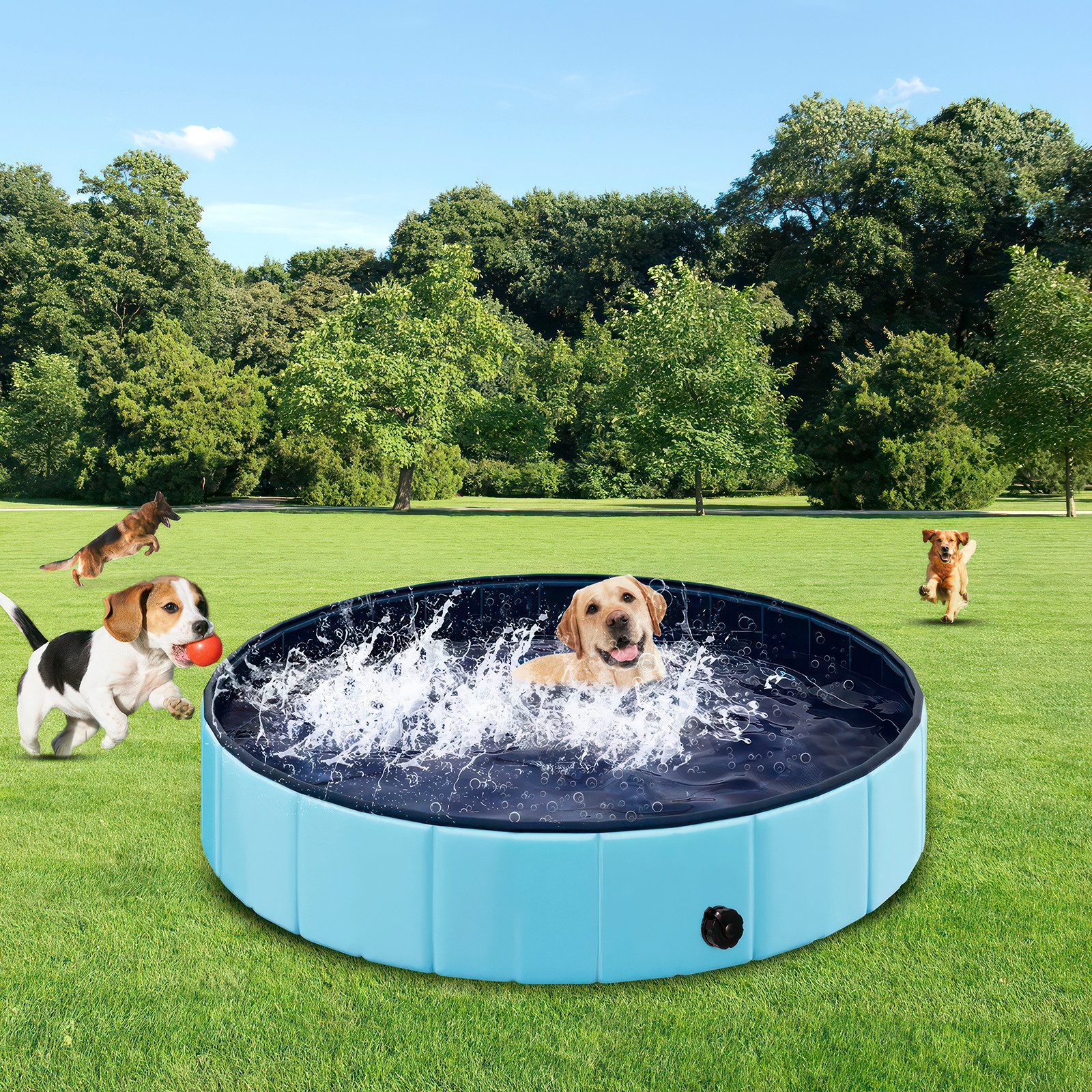 BlingBin Hundepool Faltbare Hunde Pool, Schwimmbecken günstig online kaufen