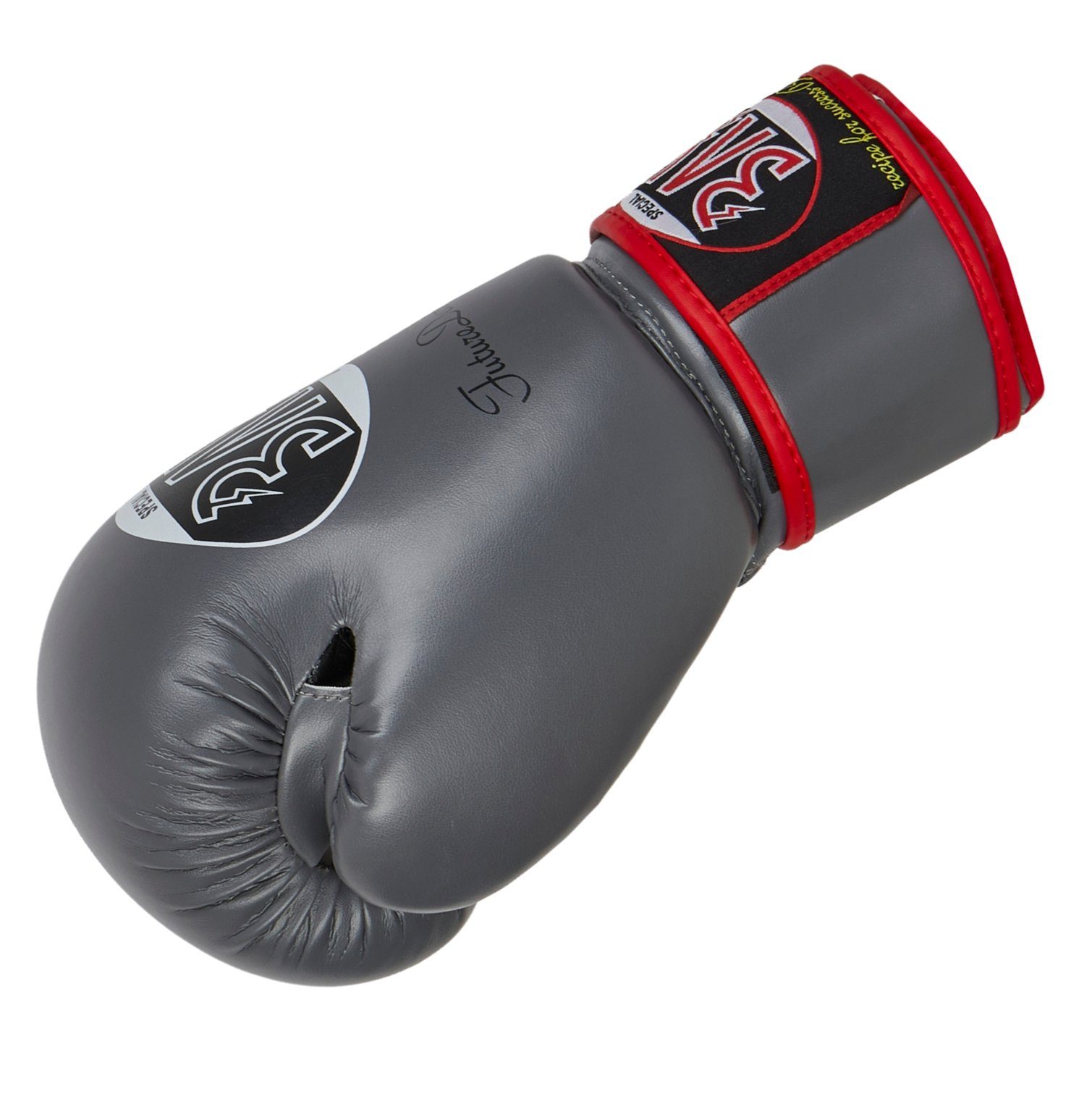 BAY-Sports Boxhandschuhe Future Box-Handschuhe Kickboxen dunkelgrau Boxen