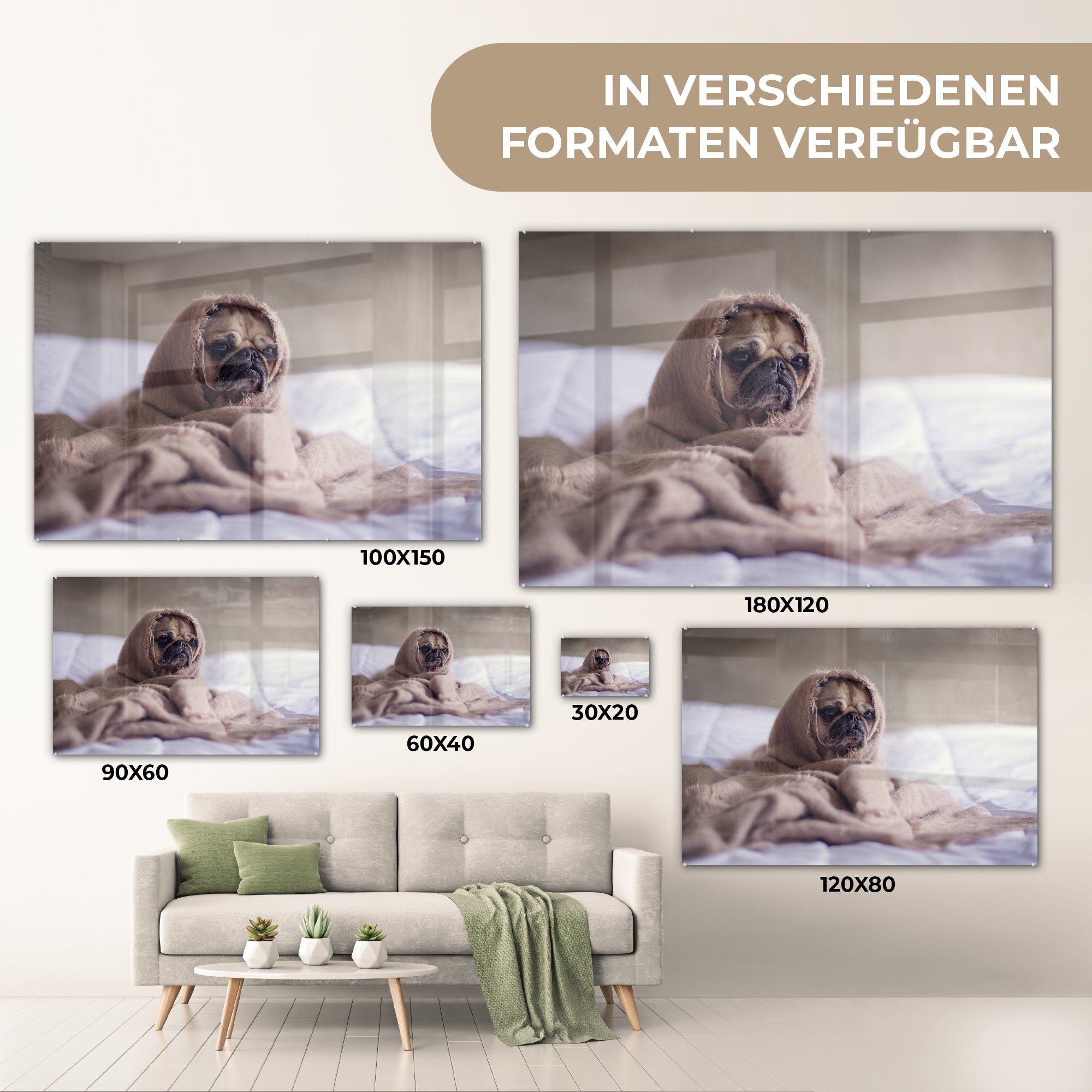 Decke & Wohnzimmer Acrylglasbild - Hund Bett, St), Schlafzimmer MuchoWow (1 Acrylglasbilder -