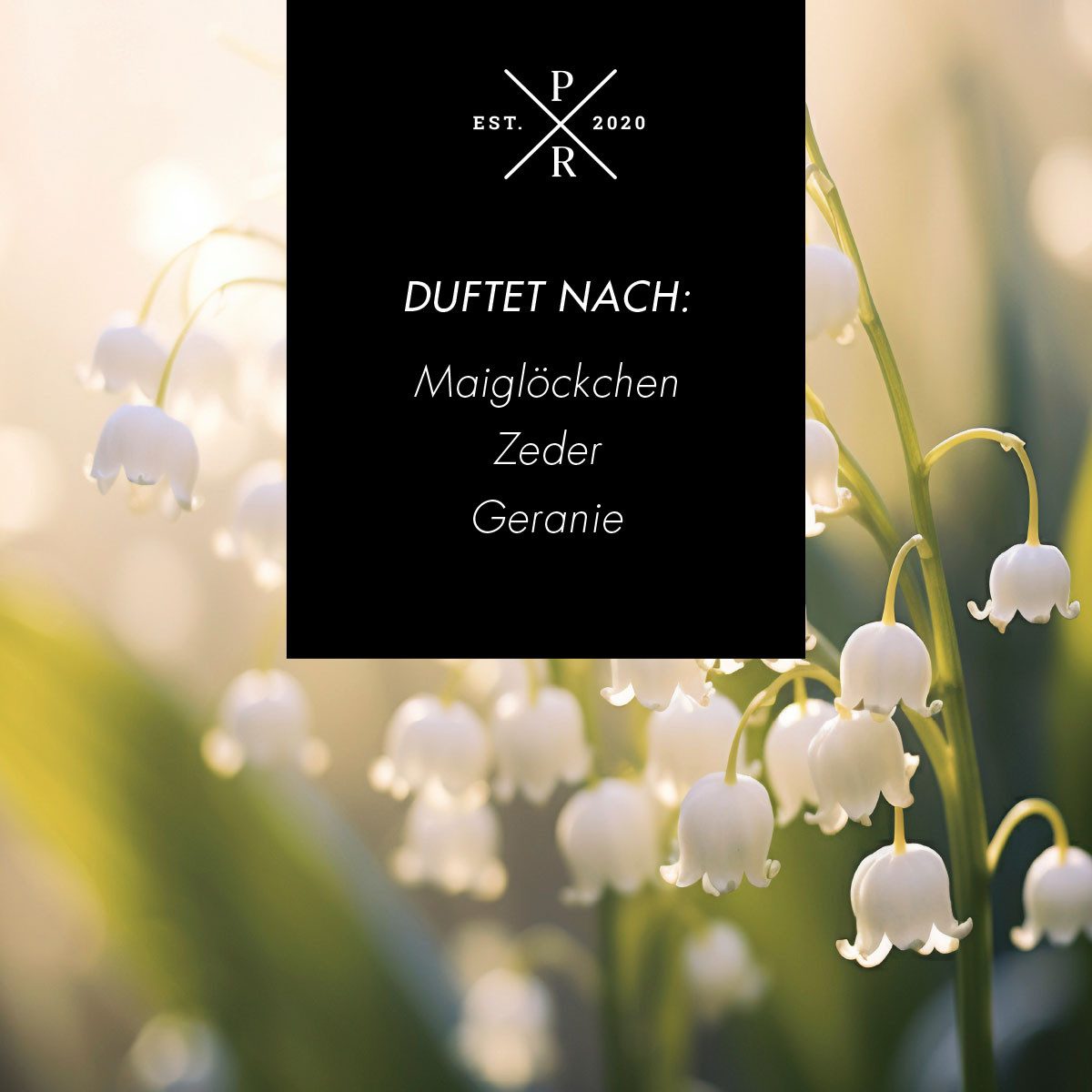 Purple River Duftkerze Reed Diffuser Sweet günstig online kaufen