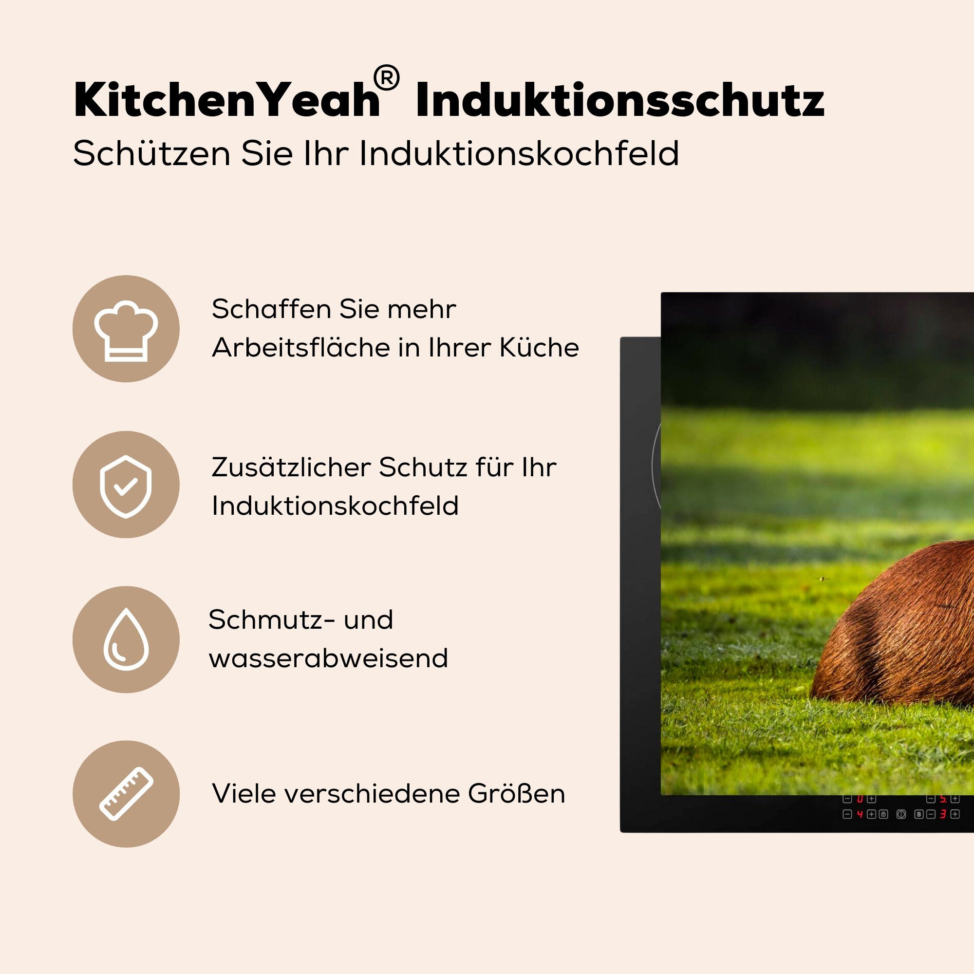 MuchoWow für Induktionskochfeld dem Schutz Goldene cm, über 81x52 küche, Herdblende-/Abdeckplatte Ceranfeldabdeckung tlg), die Capybara, Vinyl, Sonnenstrahlen (1