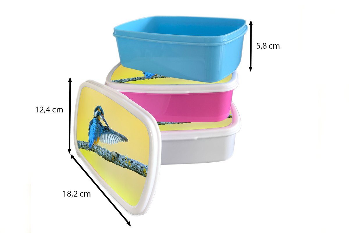 MuchoWow Lunchbox Eisvogel - - Mädchen und Brotbox für Erwachsene, Kinder (2-tlg), und für Kunststoff, weiß Brotdose, Blau, Jungs Zweig