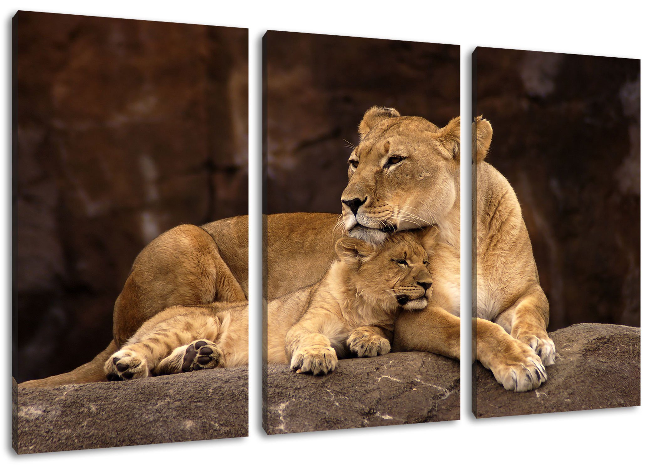 Pixxprint Leinwandbild Löwe mit Löwenjungen, Löwe mit Löwenjungen 3Teiler (120x80cm) (1 St), Leinwandbild fertig bespannt, inkl. Zackenaufhänger