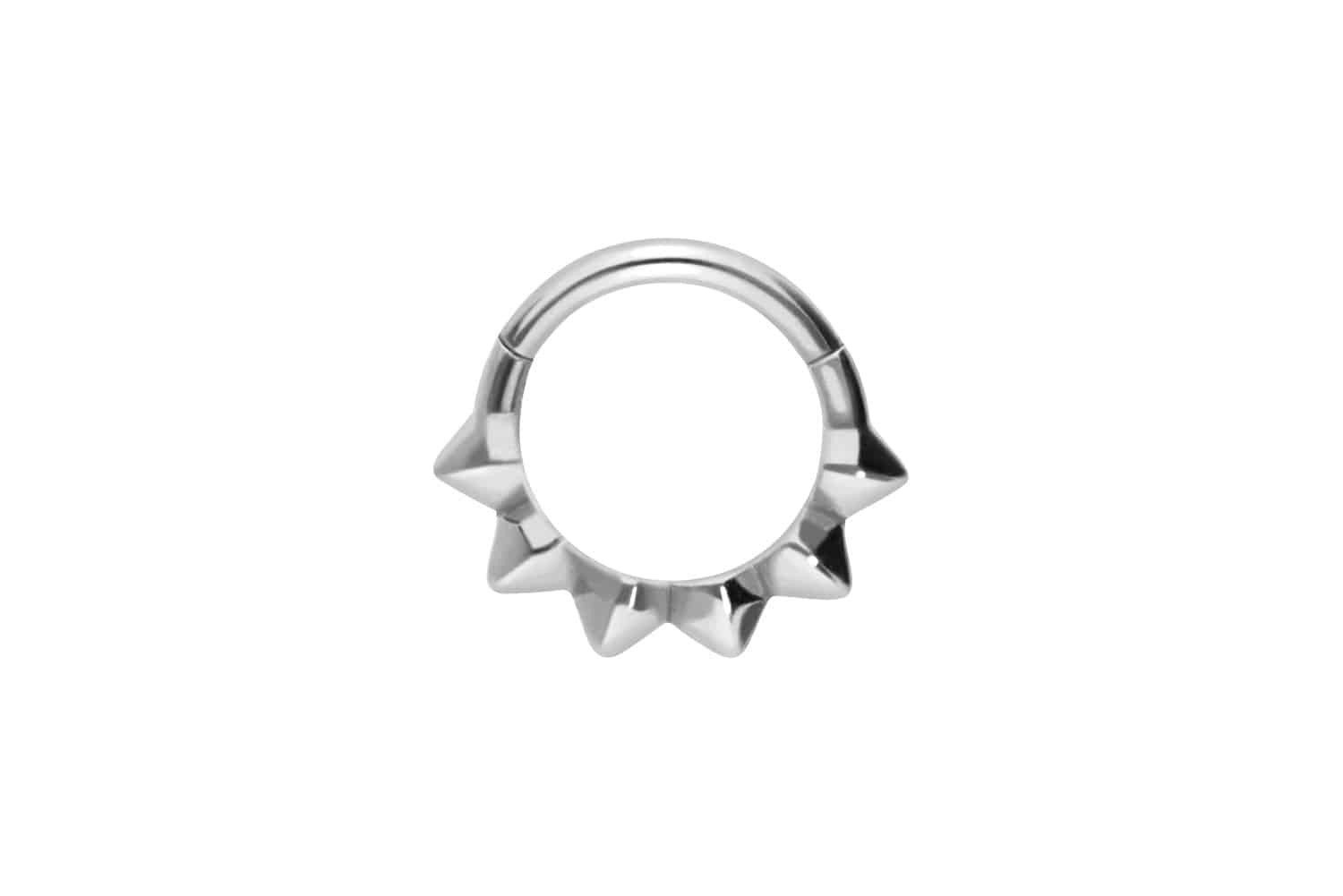 Nasenpiercing Chirurgenstahl Segmentring Clicker SPITZEN Ohrpiercing Septum Nase